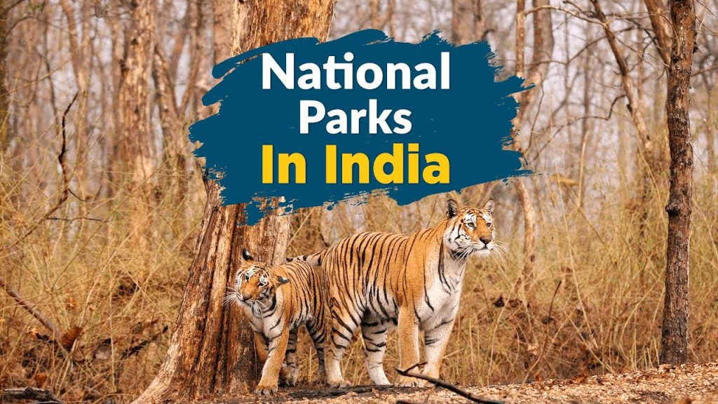 Five National Parks To Visit In India For Wildlife Lovers